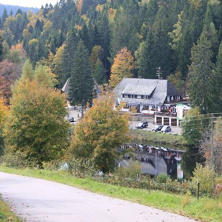 Klosterweiherhof Dachsberg im Schwarzwald Exterior foto